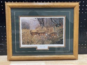 lot 16 image: Terry Doughty New Arrival Framed Wildlife Print