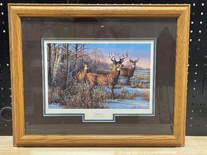 lot 17 image: Cautious By Cynthia Fisher Framed Wildlife Print