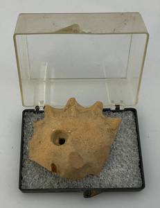 lot 67 image: Recovered Pre-Columbian Prayer Shard Thrown In the Cenotes