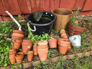 lot 95 image: Large Lot of Flower Pots and Planters