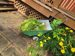 lot 100 image: 2 Wheel Garden Cart as Garden  Yard Art