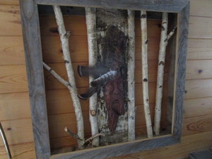 Framed Art - Natural Elements