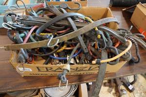 lot 85 image: Assorted Bungee Cords