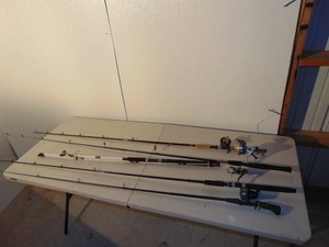 Mixed Lot of Fishing Rods and Combo Sets