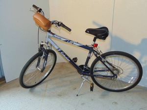 Mens Schwinn Coronado Bike