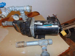 Wayne 12HP Shallow well Pump