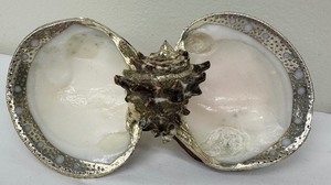 lot 225 image: Sea Shell Pearl Silver Rimmed Dish with Three Reed & Barton Christmas 1981 Angel Spoons