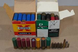 lot 228 image: Assorted Ammo - Shotshells, 7.62x39, .22, .45