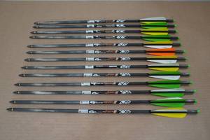 lot 3 image: 13 Gold Tip Laser II Carbon Crossbow Bolts