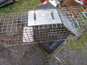 lot 236 image: Live Cage, 7 X 7 X 24