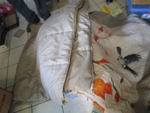 lot 337 image: Two Comforters