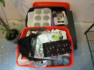 lot 389 image: Halloween Decorations, Two Totes