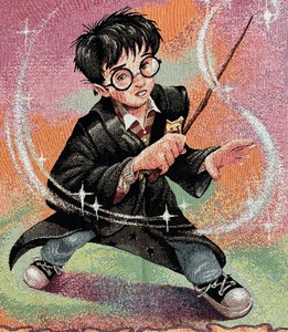 lot 209 image: Whimsical Harry Potter Blanket