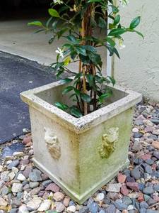 lot 36 image: Vintage Style Lions Head Planter