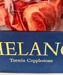 lot 89 image: Stunning Hardcover Coffee Table Art Book MICHELANGELO by TREWIN COPPLESTONE