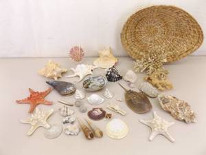lot 80 image: Large Basket of Unique Shells, Corals, Fossils, etc.