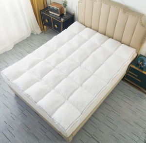 lot 157 image: Twin Size Extra Thick Mattress Topper Memory Foam Filling Pad