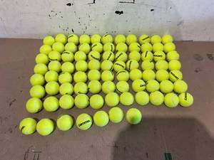 lot 311 image: 84PCS GAMMA Sports Pressureless Tennis Balls Box, Bulk Tennis Balls