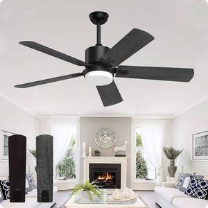 lot 20 image: Biukis Black Ceiling Fans with Lights 52 Inch