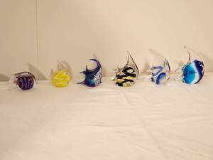 lot 88 image: Beautiful School of Glass Fish