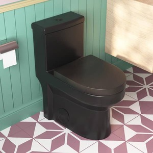 lot 166 image: DEERVALLEY Liberty 12 in. Rough in Size 1-Piece 1.11.6 GPF Compact Dual Flush Elongated Toilet in Black