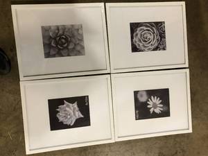 lot 49 image: StyleWell 16 x 20 Matted to 8 x 10 White Gallery Wall Picture Frame (Set of 4)  Customer Returns See Pictures