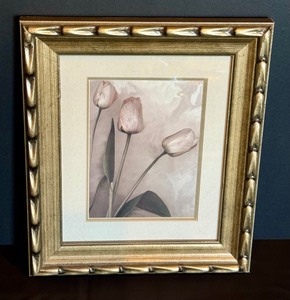 Lovely Framed Tulip Print