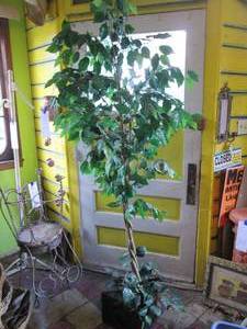 lot 296 image: Decorative Indoor artificial tree in card wood planter