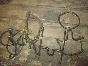 lot 573 image: Lot of horse bits...