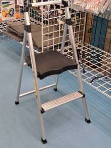 lot 239B image: 2-Step Step-Up Ladder