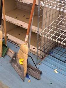 lot 309 image: Push Broom, Broom, Dust Pan