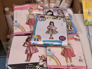 lot 1112 image: Lot of (5) 2T Girls Costumes