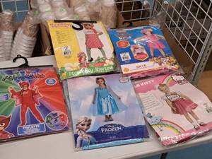 lot 1113 image: Lot of (5) 2T Girls Costumes