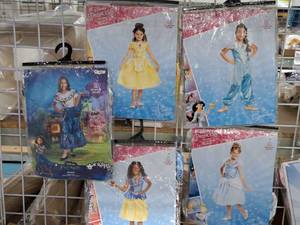 lot 1115 image: Lot of (5) 3T-4T Girls Costumes