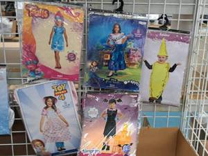 lot 1116 image: Lot of (5) 3T-4T Girls Costumes