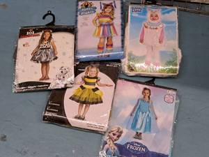 lot 1118 image: Lot of (5) 3T-4T Girls Costumes