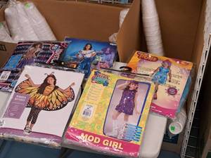 lot 1135 image: Lot of (5) Child Size 4-6 Girls Costumes