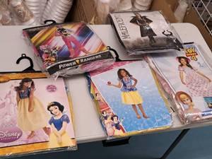 lot 1144 image: Lot of (5) Child Size Medium 7-8 Girls Costumes