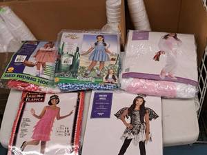 lot 1147 image: Lot of (5) Child Size Medium 8-10 Girls Costumes