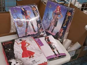 lot 1156 image: Lot of (4) Child Size X-Large 14-16 Girls Costumes