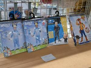lot 1121C image: Lot of (4) Child Costumes - (3) Size 3T-4T, (1) Size 4-6X