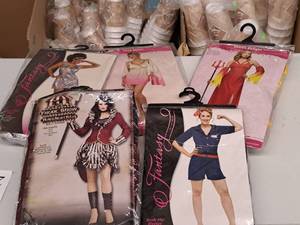 lot 1185 image: Lot of (5) Adult SmallMedium 2-8 Womens Costumes
