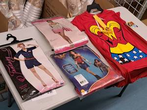 lot 1184 image: Lot of (3) Adult SmallMedium 2-8 Womens Costumes with T-Shirt w Cape and Mask