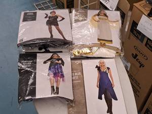 lot 1187 image: Lot of (4) Adult Womens Costumes