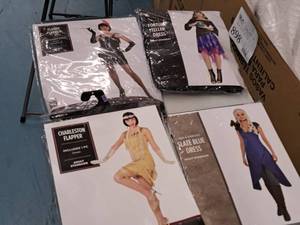 lot 1188 image: Lot of (4) Adult Womens Costumes