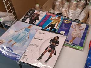 lot 1190 image: Lot of (5) Adult Womens Costumes