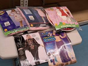 lot 1192 image: Lot of (5) Adult Womens Costumes