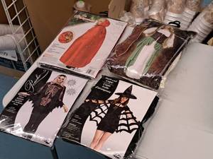 lot 1195 image: Lot of (4) Adult Womens Costumes