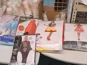 lot 1196 image: Lot of (5) Adult Womens Costumes