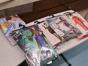 lot 1197 image: Lot of (5) Adult Large 14-16 Womens Costumes